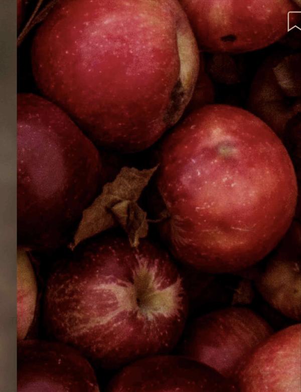 Lovers-Vol.-8--PAN-ebook